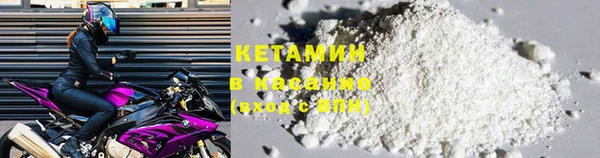 шишки Абинск